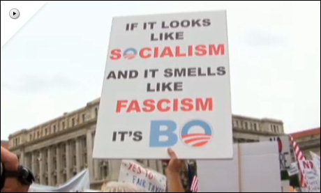 Teaparty-AnhÃ¤nger demonstrieren gegen Barack Obama